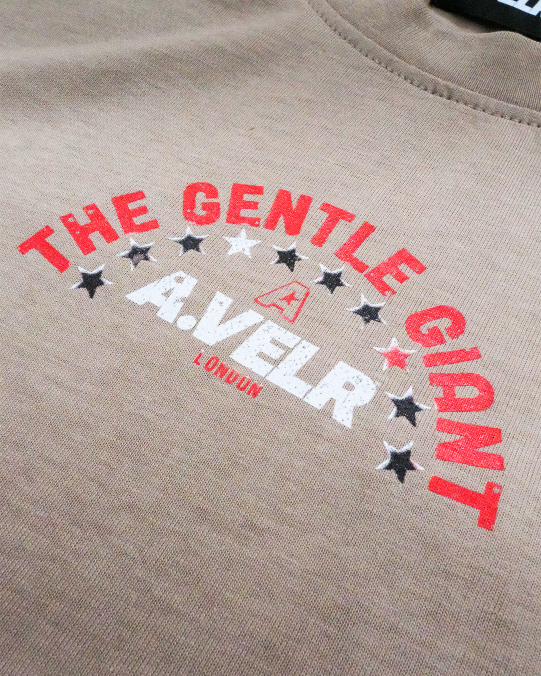 Big Legend Streetwear Loose Drop Shoulder T-Shirt